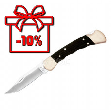 Ніж Buck Folding Hunter (110BRSFGB)