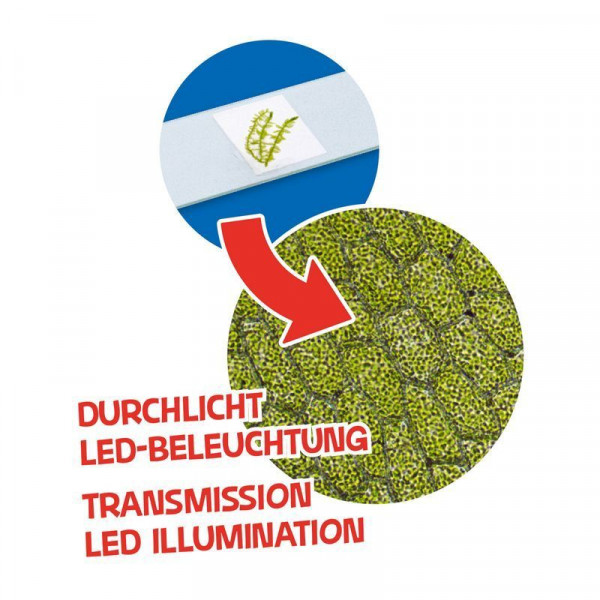 Мікроскоп Bresser Junior 40x-640x Orange (8851301) (926812) Мікроскоп Bresser Junior 40x-640x Orange (8851301) (926812)