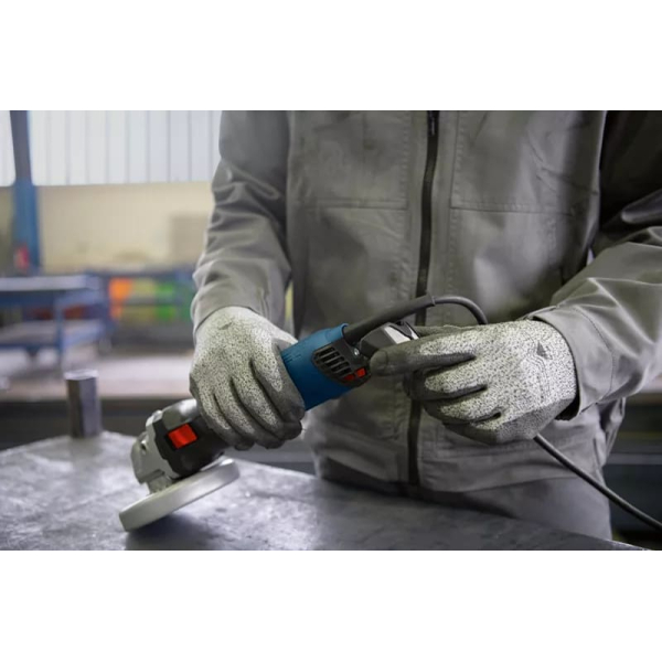 Кутова шліфмашина Bosch Professional GWS 17-125 06017D0200