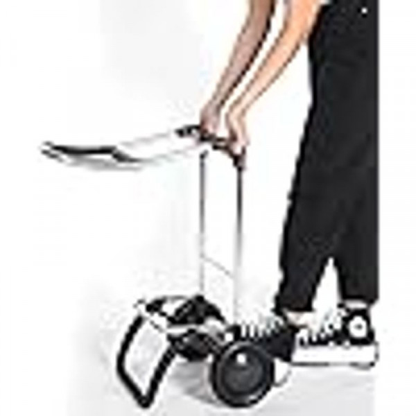 Сумка-візок Rolser Big Polar 2L Negro (BIG004-1023) (931703)