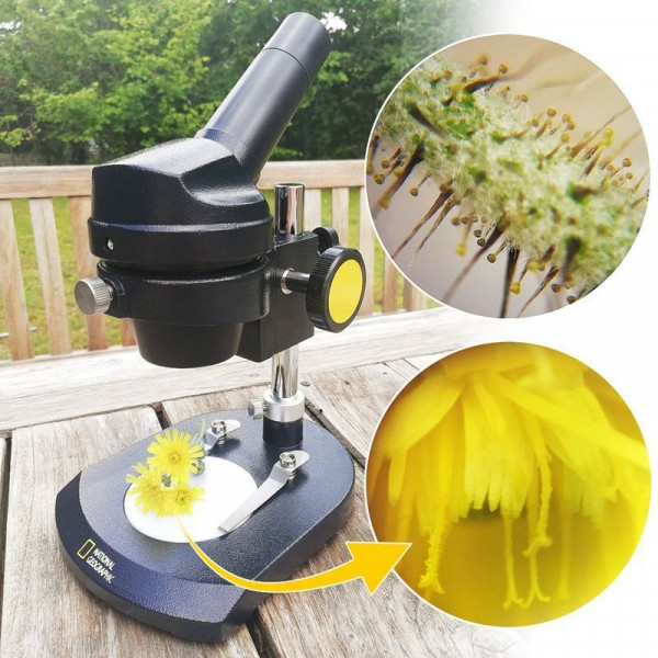 Мікроскоп National Geographic Mono 20x (з кейсом) (9119100) (927065) Мікроскоп National Geographic Mono 20x (з кейсом) (9119100) (927065)