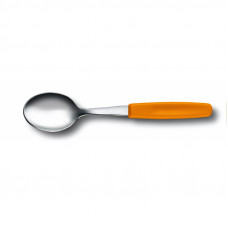 Чайна ложка Victorinox SwissClassic Tea Spoon 5.1576.L9
