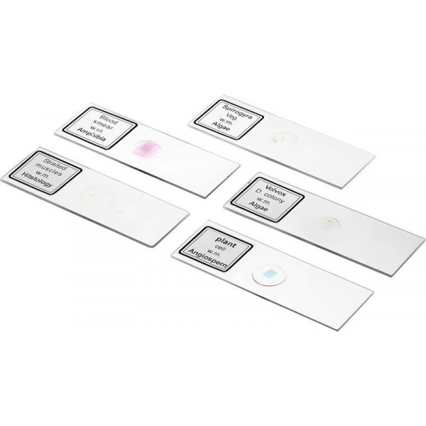 Мікроскоп Bresser Biolux DLX 20x-1280x (5014000) 931424 Мікроскоп Bresser Biolux DLX 20x-1280x (5014000) 931424