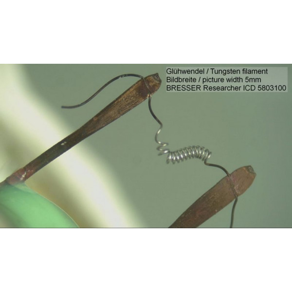 Мікроскоп Bresser Researcher ICD LED 20x-80x (5803100) (908585)