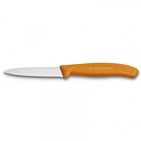 Кухонний ніж Victorinox Swiss Classic Paring 6.7636.L119