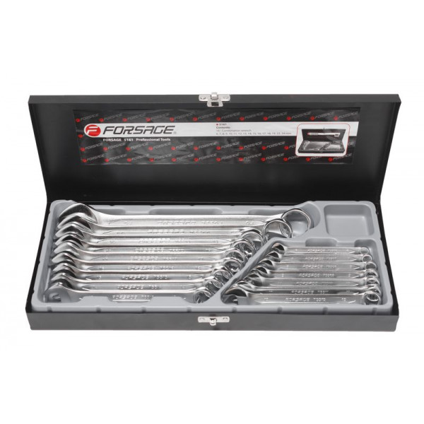 Набір ключів комбінованих 16пр. (6-19, 17,22, 24мм) в металевому кейсі Forsage F-5161