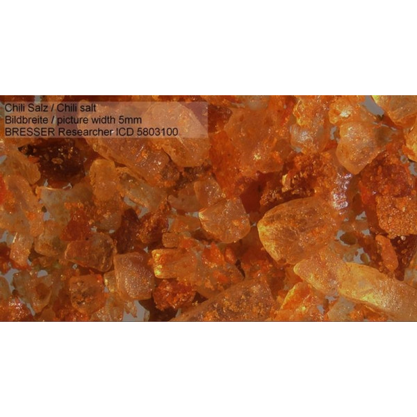 Мікроскоп Bresser Researcher ICD LED 20x-80x (5803100) (908585)