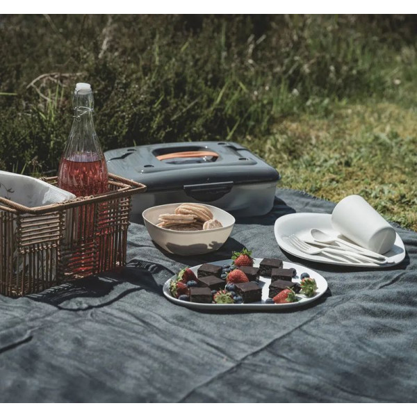 Набір посуду для пікніка Easy Camp Picnic Box M (680239) (931746)