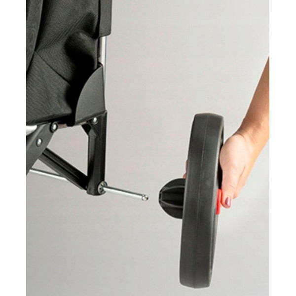 Сумка-візок Rolser Eco Pep 2 LRSG (PEP025-1041) (931971) Сумка-візок Rolser Eco Pep 2 LRSG (PEP025-1041) (931971)