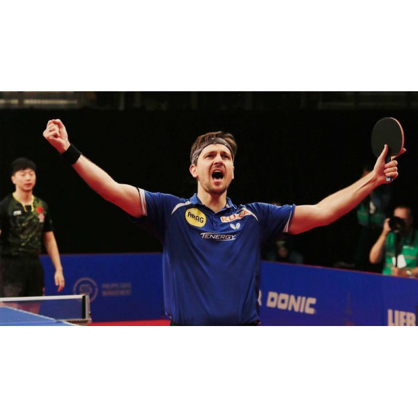 Ракетка для настільного тенісу Butterfly Timo Boll Comfort FL (6110170005) (931845)
