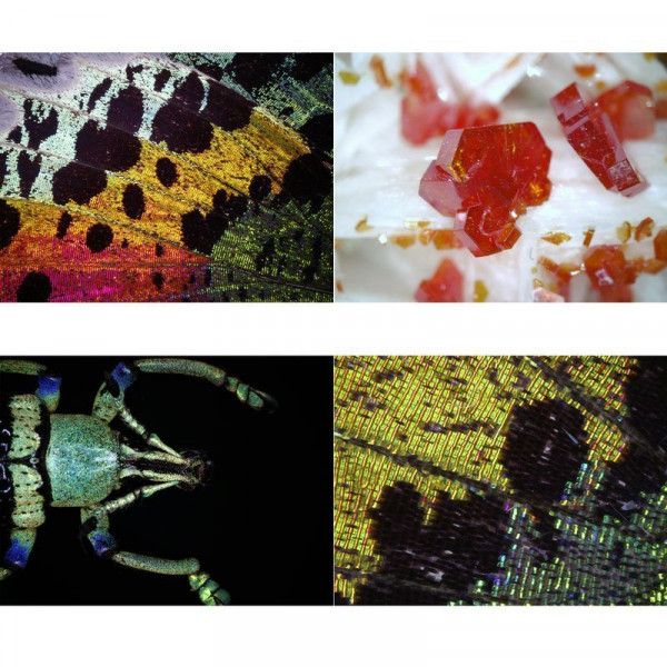 Мікроскоп Bresser Digital DST-1028 5MP USB (5808600/11462) 932124