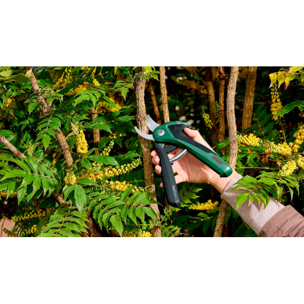 Секатор акумуляторний Bosch EasyPrune New (06008B2100)