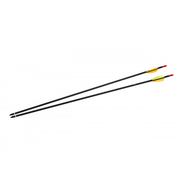 Лук блочний Ek Archery Rex 15-55 LBS чорний C0-029B Лук блочний Ek Archery Rex 15-55 LBS чорний C0-029B